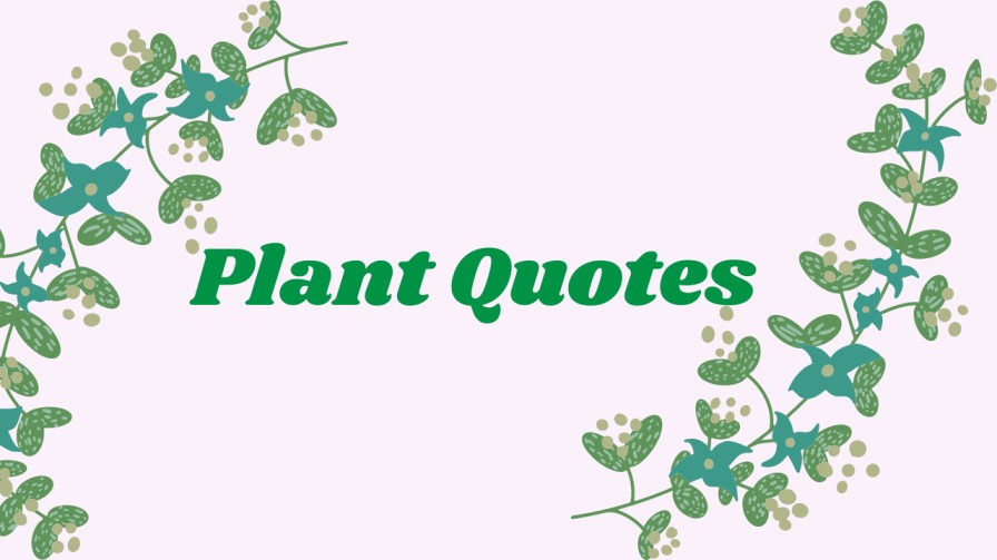 Plant quotes